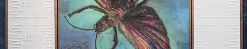 insect painting, there is Love by PD Packard