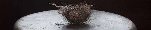 Wagner Nest on Chair; Laurie Beck Peterson