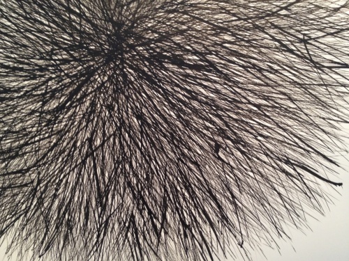Detail of a drawing by Danielle Bursk