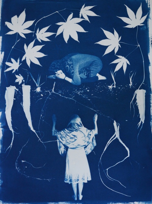 Therese Brown cyanotype