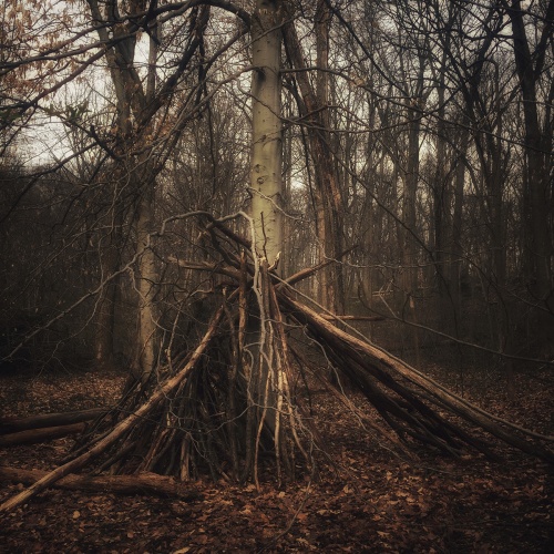 #letsconnectphilly, laurie beck peterson, sticks and trees, the barnes foundation