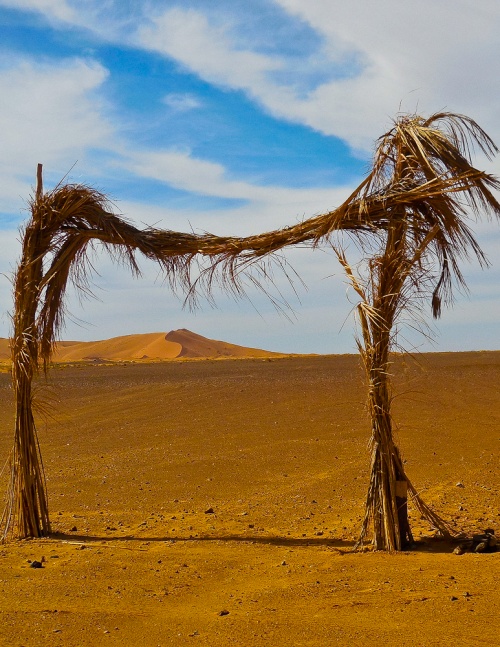 photographs, Morocco, sahara, single-sheet books, works on paper