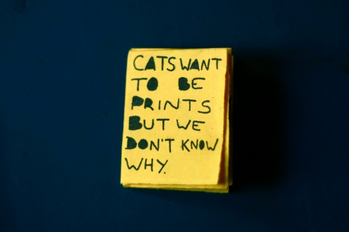 Cats want to be prints by Elinor Breidenthal