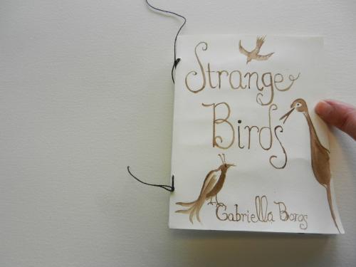 Strange Birds by gabriella boros