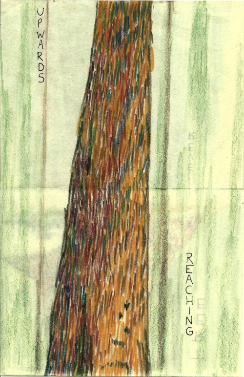 Tree, colored pencil, artist book