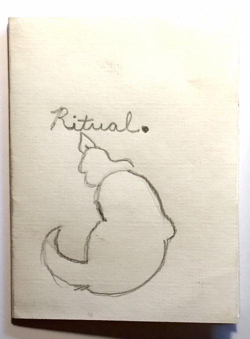single-sheet book: cat drawing