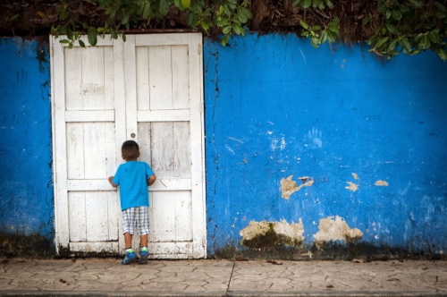 Tracy Ann Photo "Blue Boy"