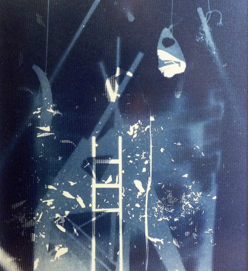 cyanotype, photogram