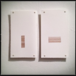 walnut missives, small walnut ink drawings in a pair.