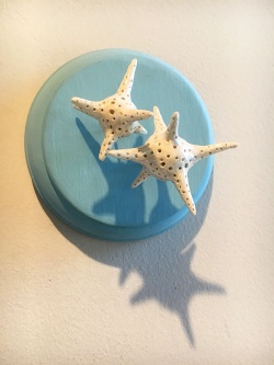 Star Shaped Sand Protists