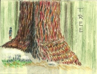 Tree, colored pencil, artist book