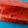 untitled book