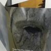 Tracing the Path: Purgatory