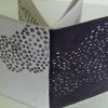 Oasis Art Center book by Laura Kingbo