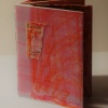 Cover of silkscreen monotype book