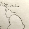 single-sheet book: cat drawing
