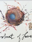 Birds nest, blue egg, text Solvent of Love