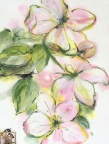 Apple Blossoms, text of unrestricted thought with love and truth