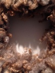 The Square's Soft Underbelly by Amy Ralston