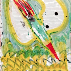 Yellow Bird 2024 acrylic on paper 17x11 by Sam Shaffer